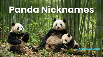 Panda Nicknames
